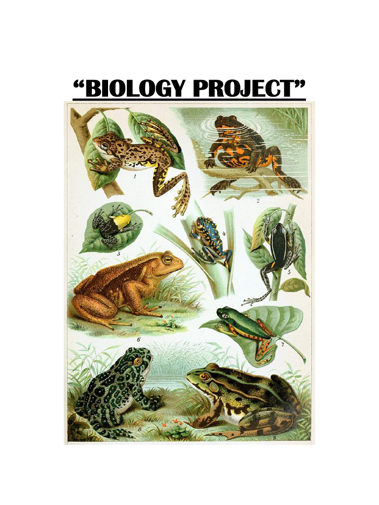 Frog Ovary Study in Breeding Season | PDF | Ovary | Reproduction