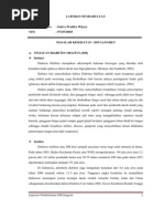 Download LP DM GANGREN by Dian Bekti SN78149561 doc pdf