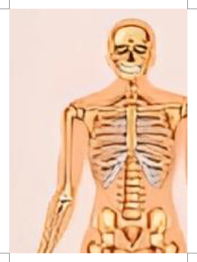 Rasterbation | PDF