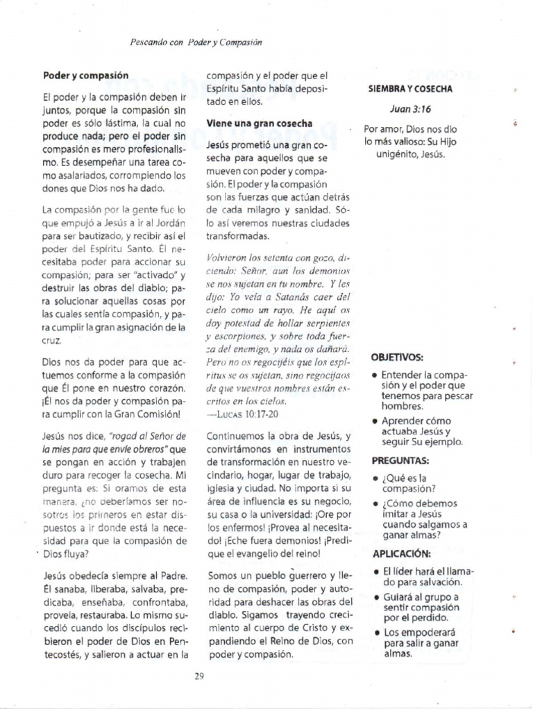 Pag 29 | PDF