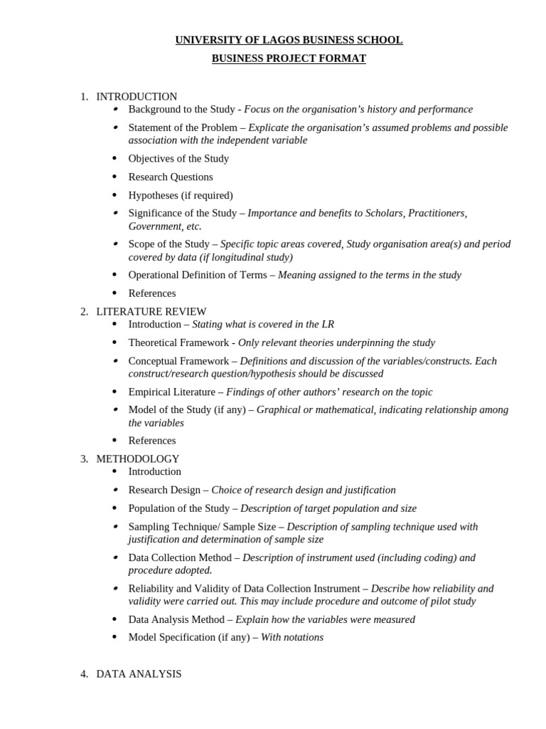 Business Project Format Guide | PDF | Hypothesis | Methodology
