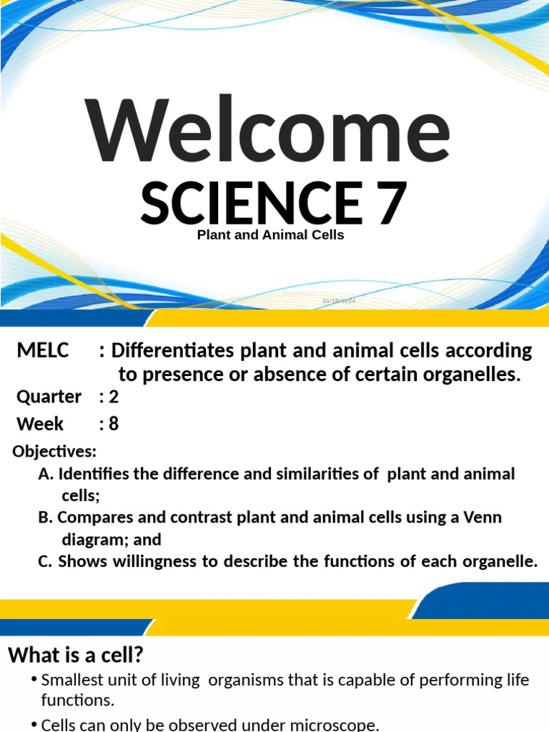 Plant vs. Animal Cells Overview | PDF | Cell (Biology) | Endoplasmic ...