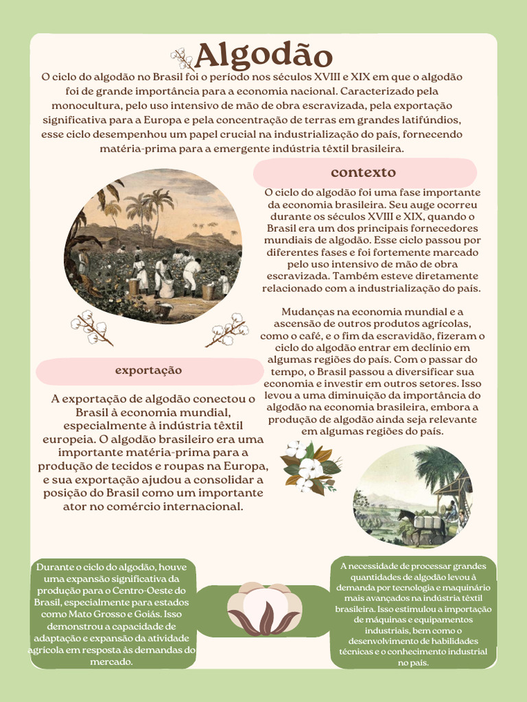 Ciclo do Algodão no Brasil | PDF | Industria têxtil | Algodão