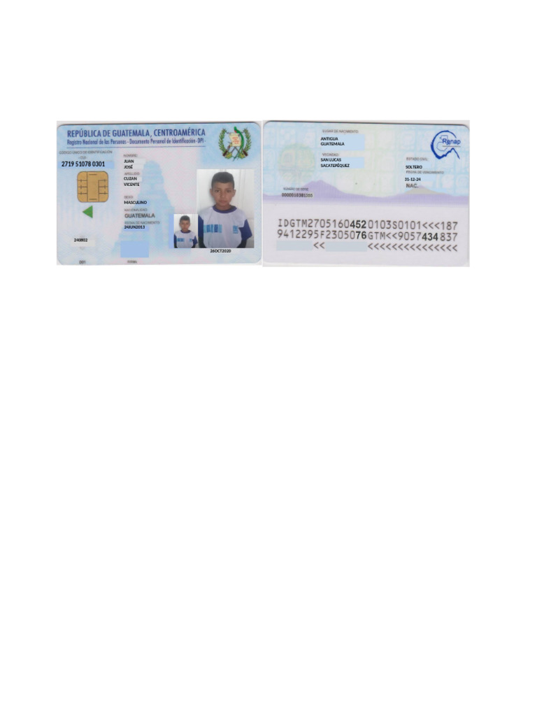 Dpi Editable | PDF