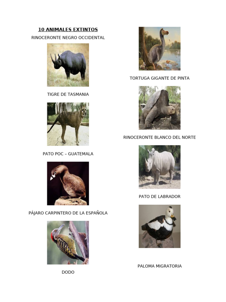 10 Animales Extintos Notables | PDF
