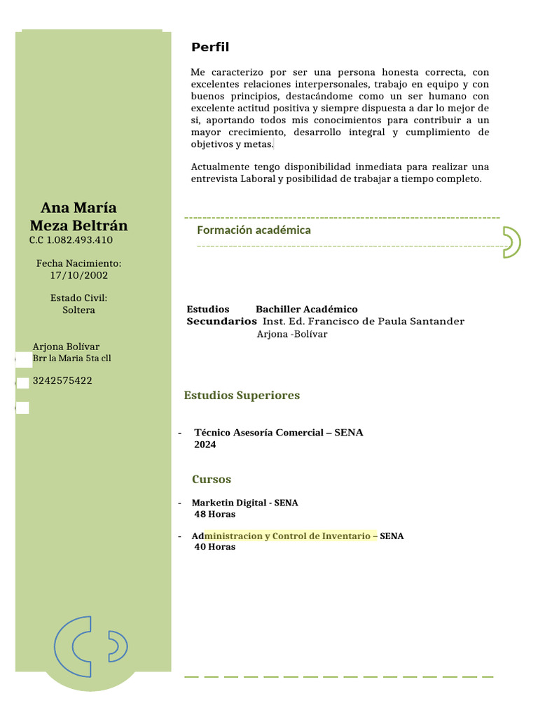 Perfil Profesional de Ana María Meza | PDF | Relaciones personales ...