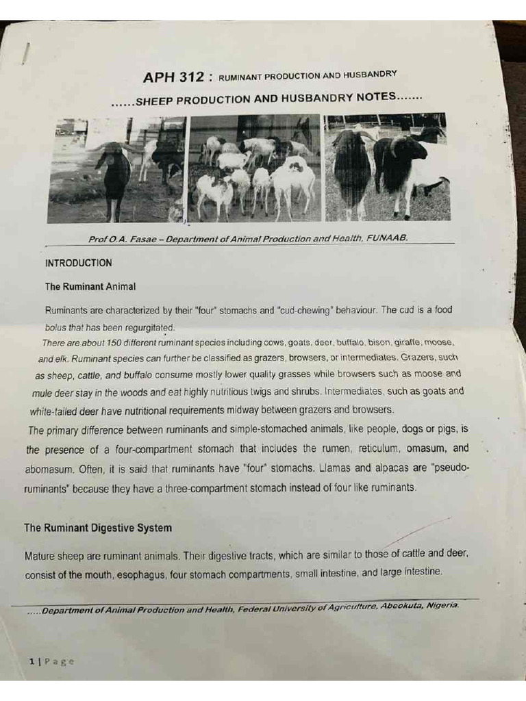 APH 312 Sheep Production and Husbandry | PDF