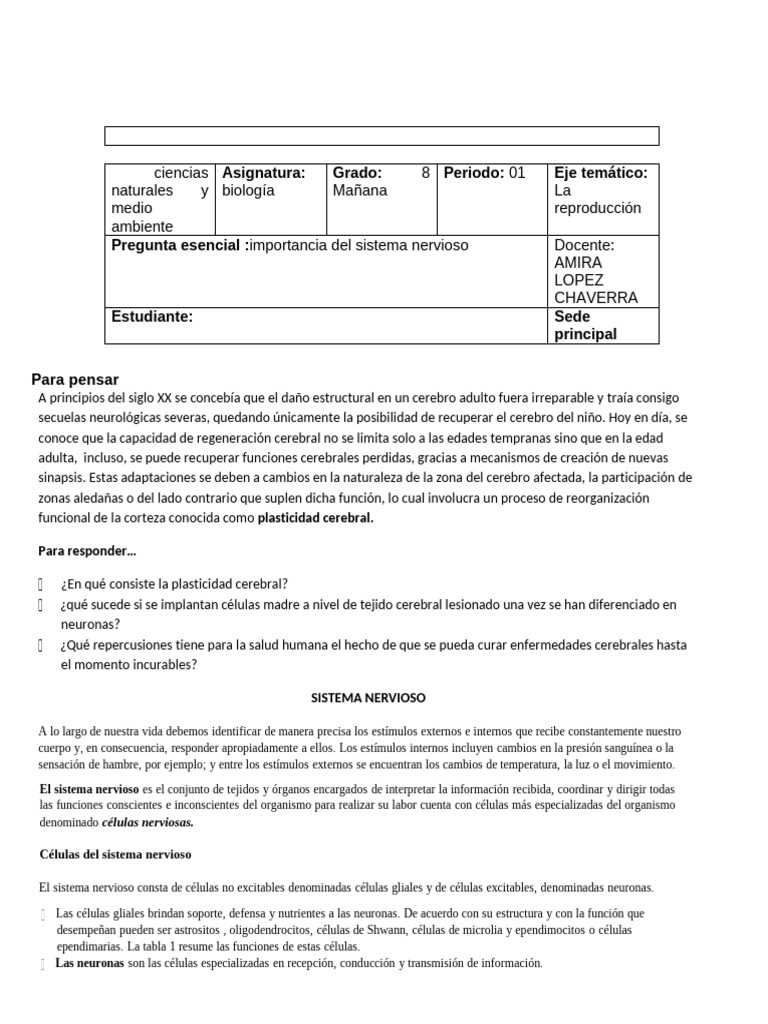 Guia 3 El Sistema Nervioso | PDF | Sinapsis | Neurona