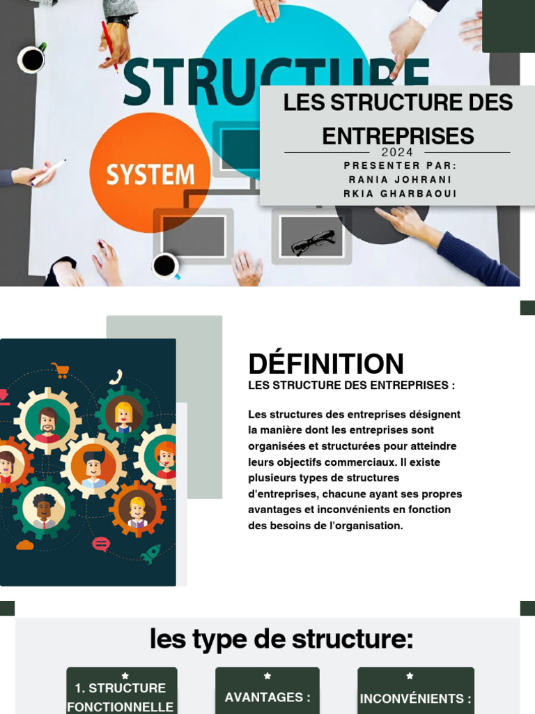Types de structures d'entreprise et enjeux | PDF | Commercialisation ...