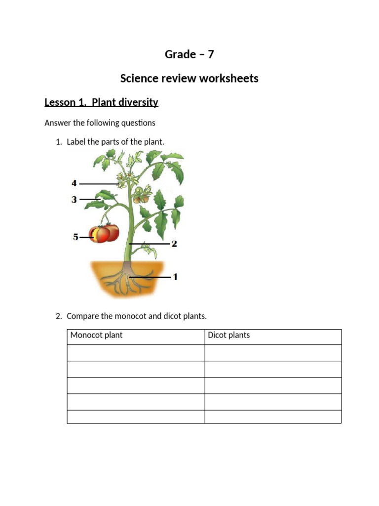 Grade 7 Plant Diversity Worksheet | PDF | Seed | Botany