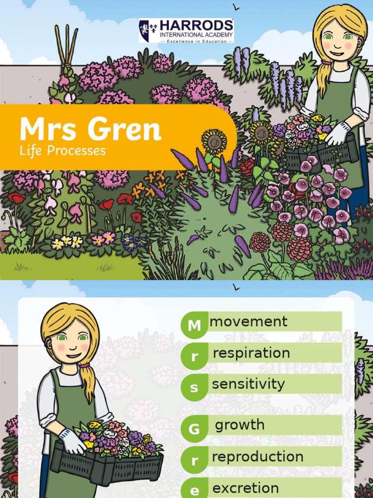 Understanding Mrs. Gren's Life Processes | PDF