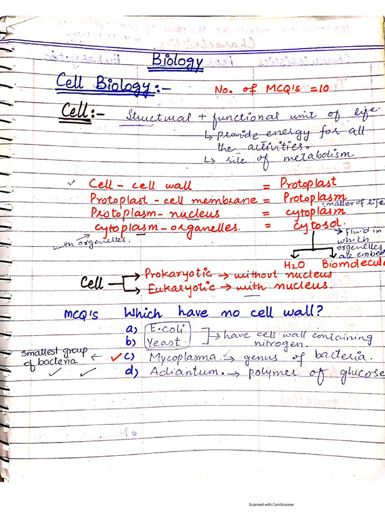 Cell Biology Notes | PDF