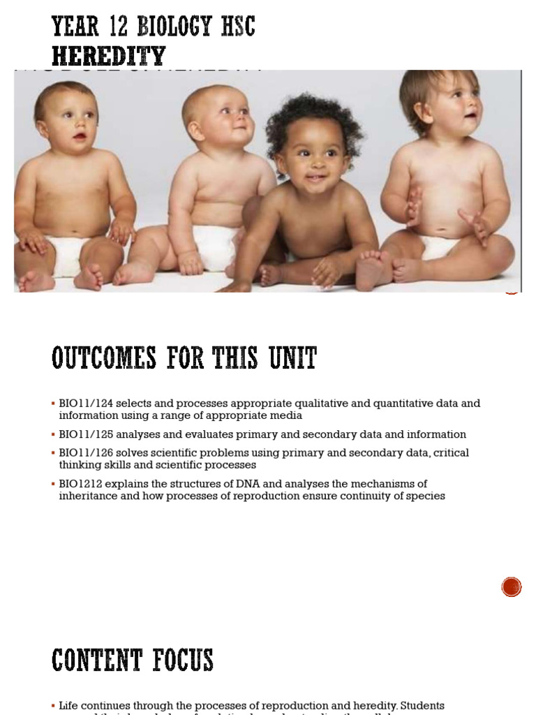 1 Reproduction Student Pdf Menstrual Cycle Sexual Reproduction