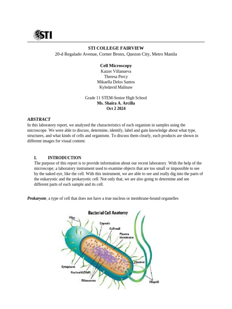 sti-college-fairview-1-1-pdf-cell-biology-organelle