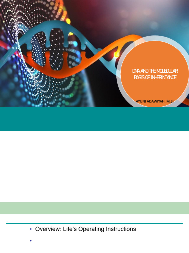 DNA and Molecular Inheritance | PDF | Dna Replication | Primer ...