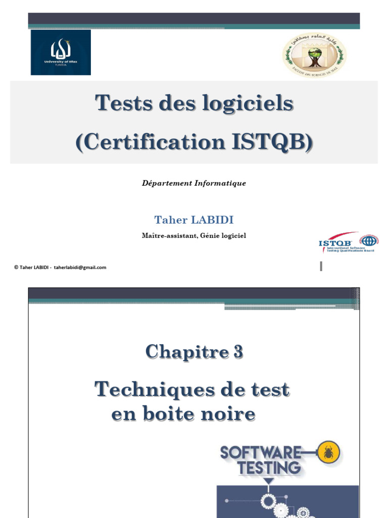 Techniques de Test en Boîte Noire | PDF | Test de logiciel | Informatique