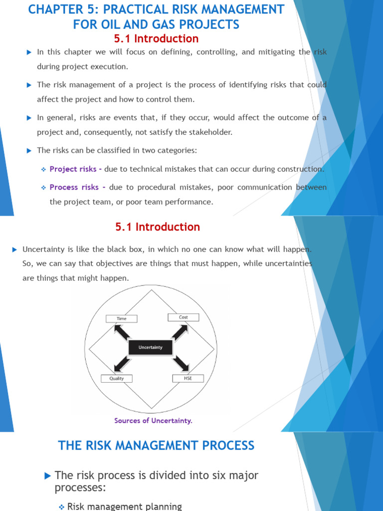 Project Risks - Process Risks | PDF | Risk | Petroleum Reservoir