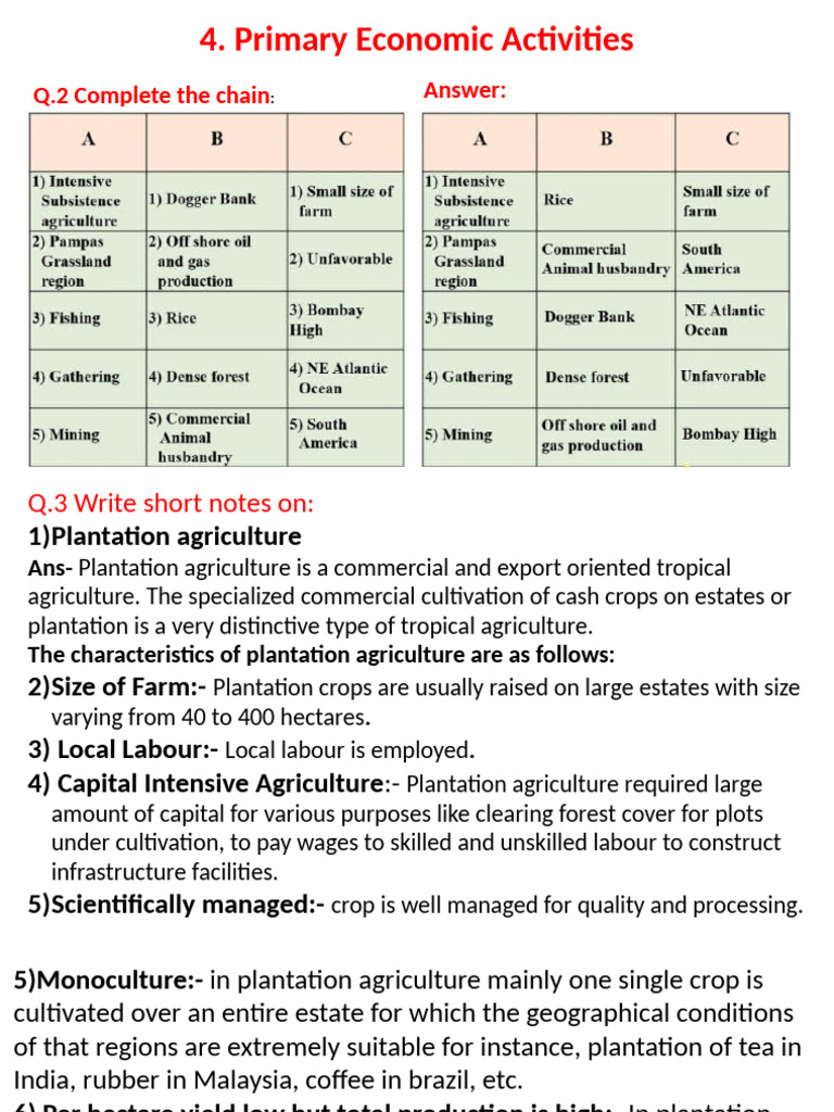 4 Primary Economic Activities Exercise PDF Agriculture Plantation