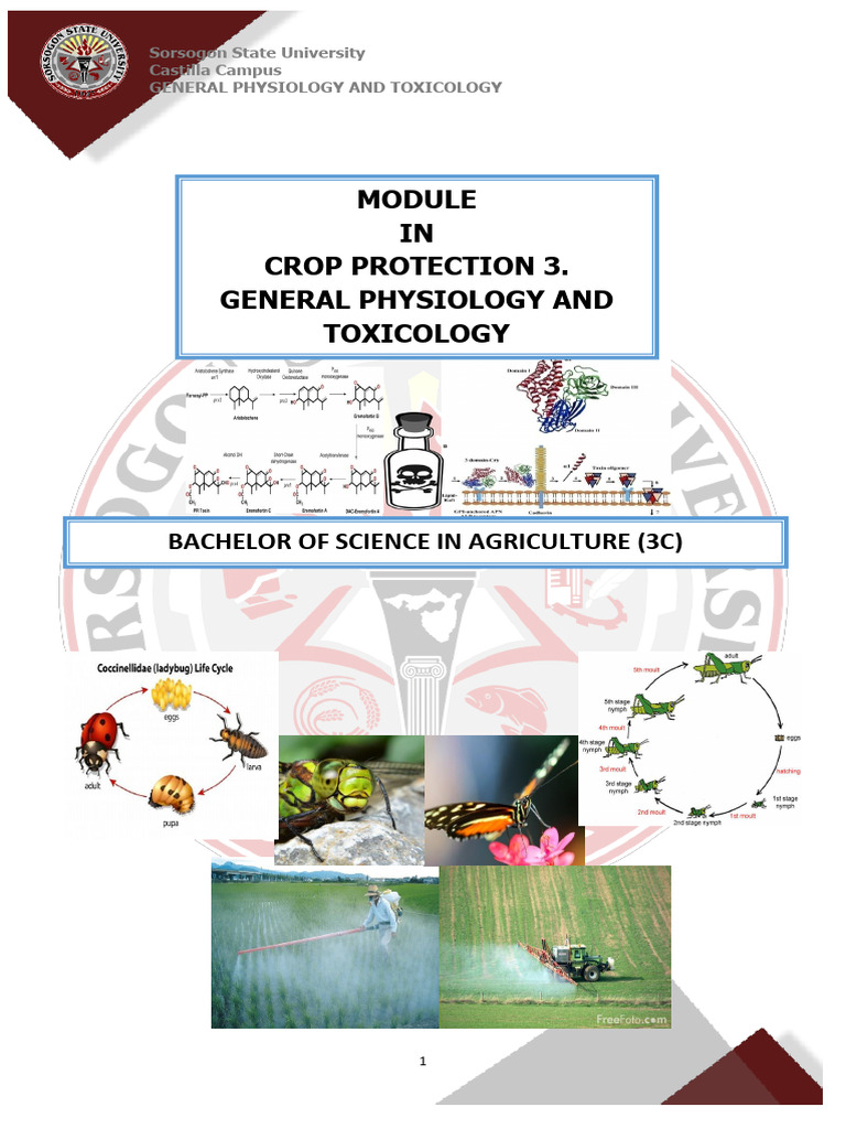Systems of Insects for Coordination and Integration | PDF | Insects | Gill