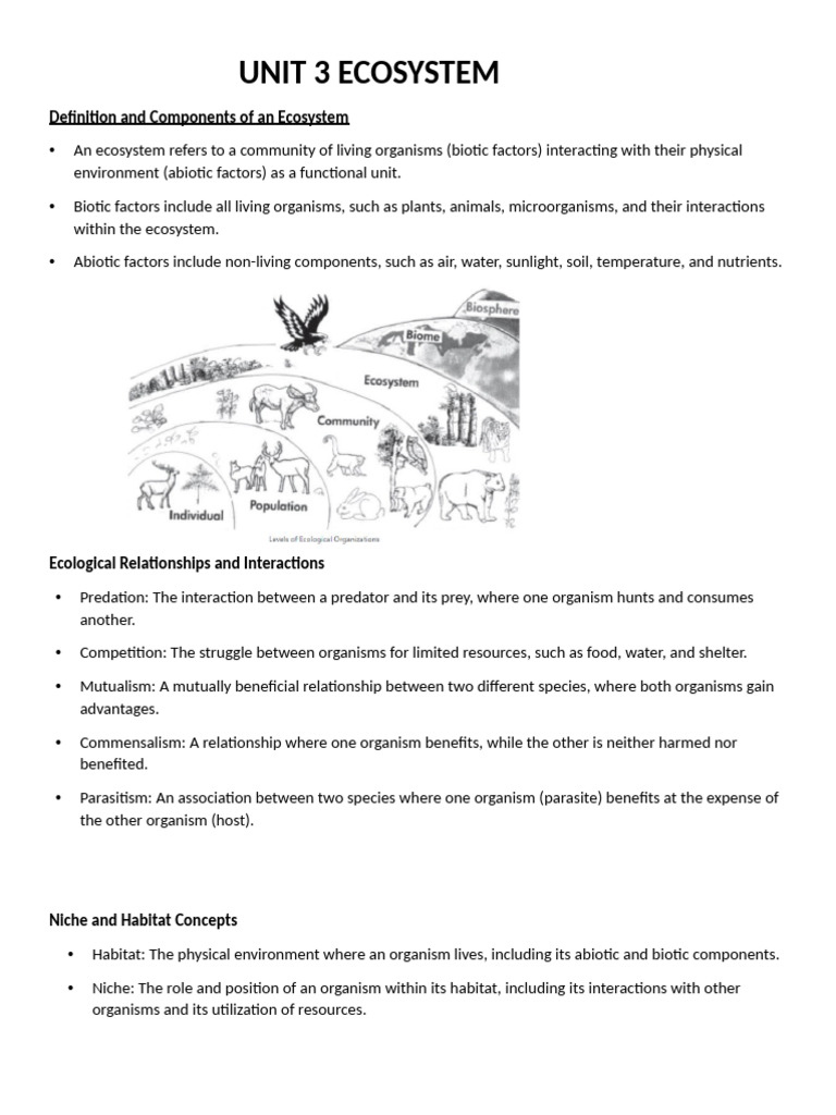 Ecosystem Components and Interactions | PDF | Food Web | Habitat ...