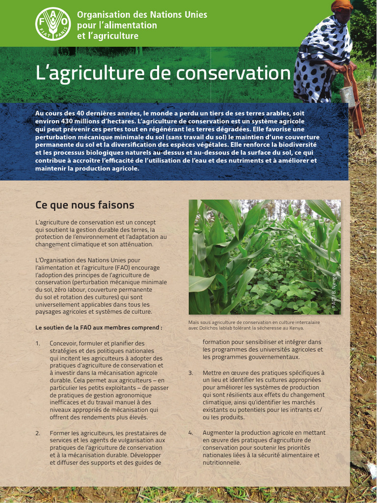 Agriculture de conservation : enjeux et pratiques | PDF | Sol ...