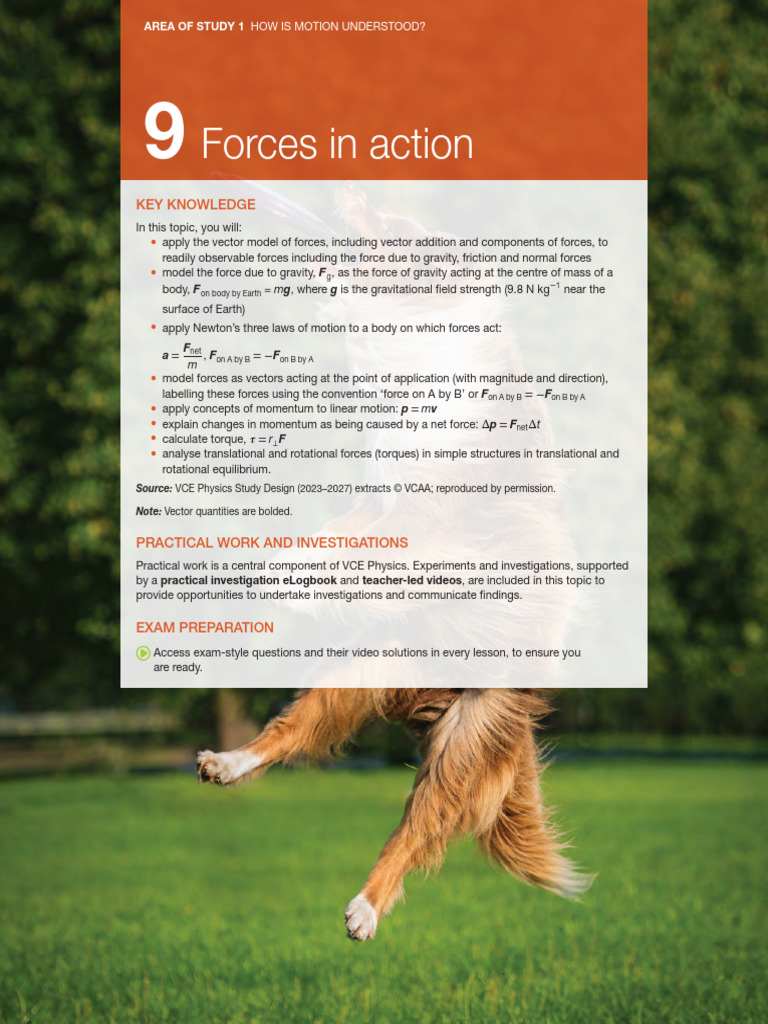C 09 Forces in Action | PDF | Force | Weight