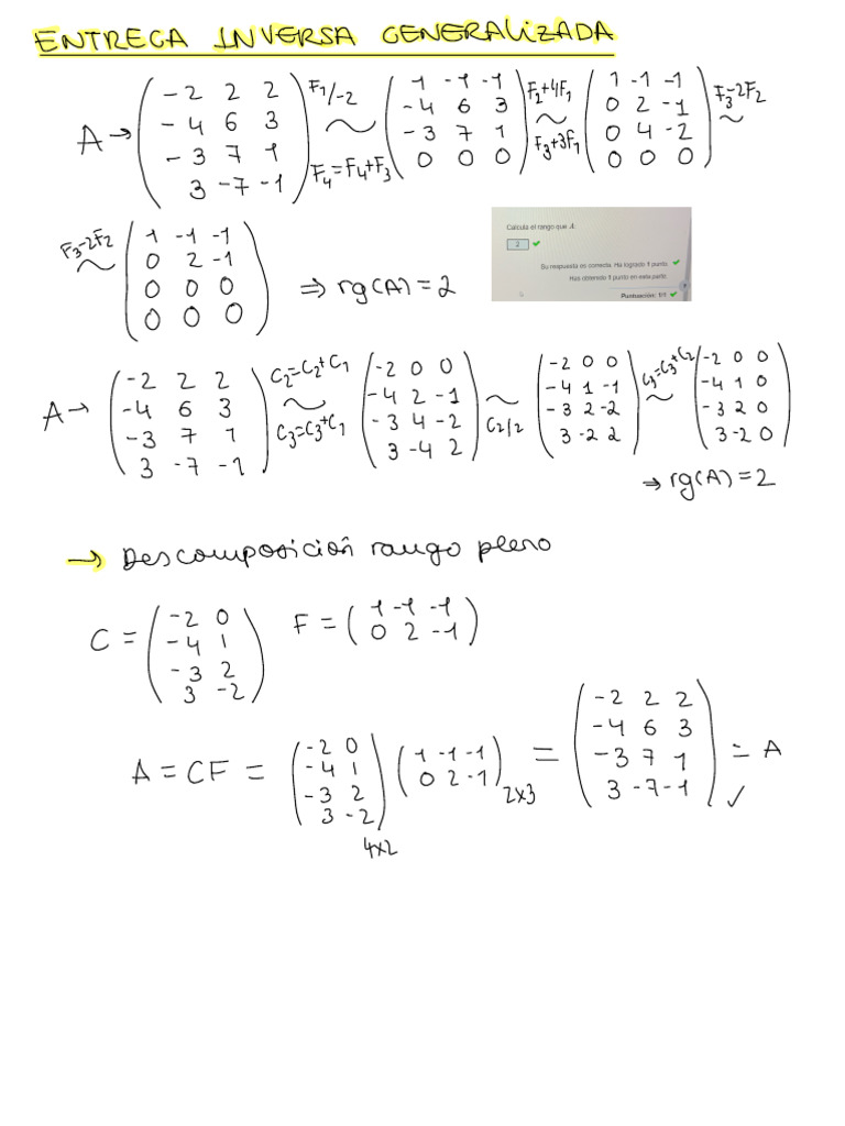 Generalized Inverse Matrix Calculation | PDF