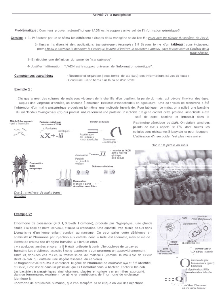 La transgénèse et ses applications | PDF | Organisme génétiquement ...