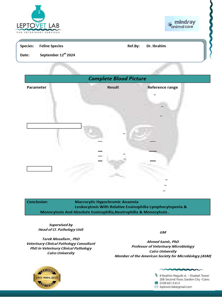 Feline Blood Analysis Report | PDF | Anemia | Medical Specialties