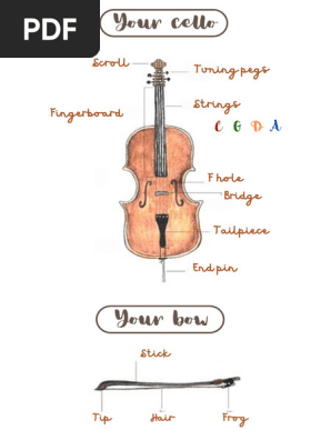 Your Cello - 1st lesson
