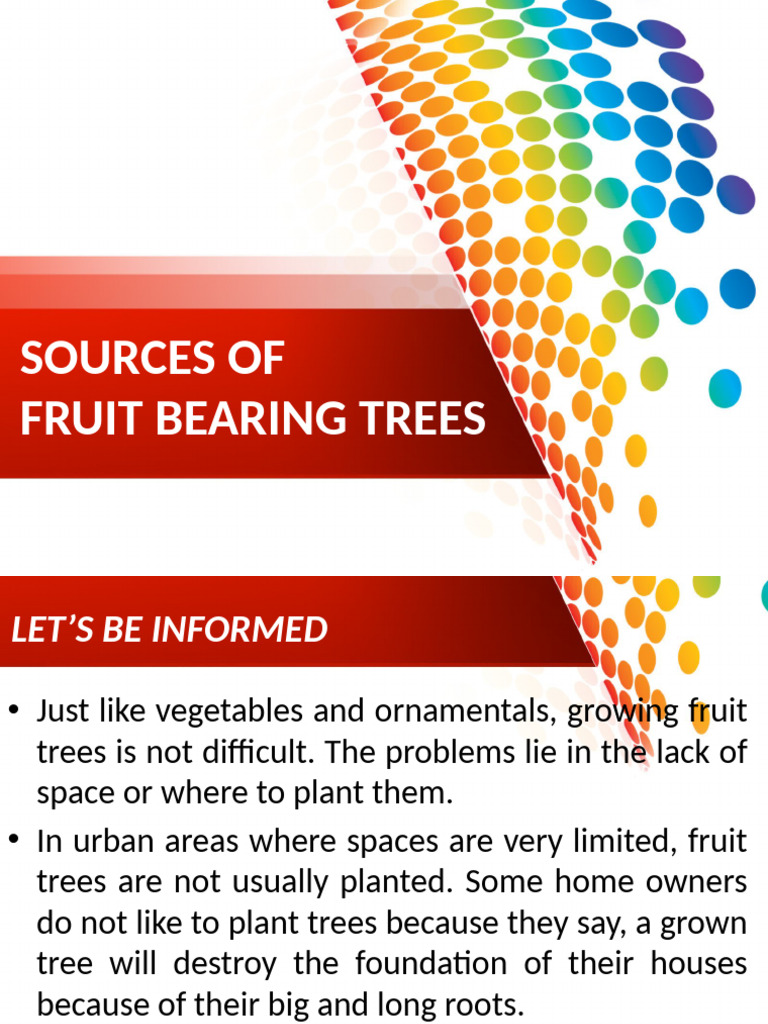 Sources of Fruit-Bearing Trees | PDF | Mango | Trees