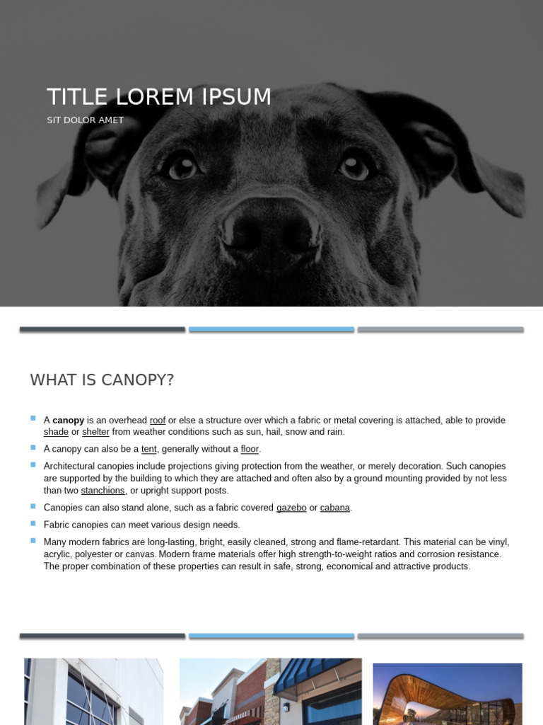 Understanding Canopy Structures and Design | PDF