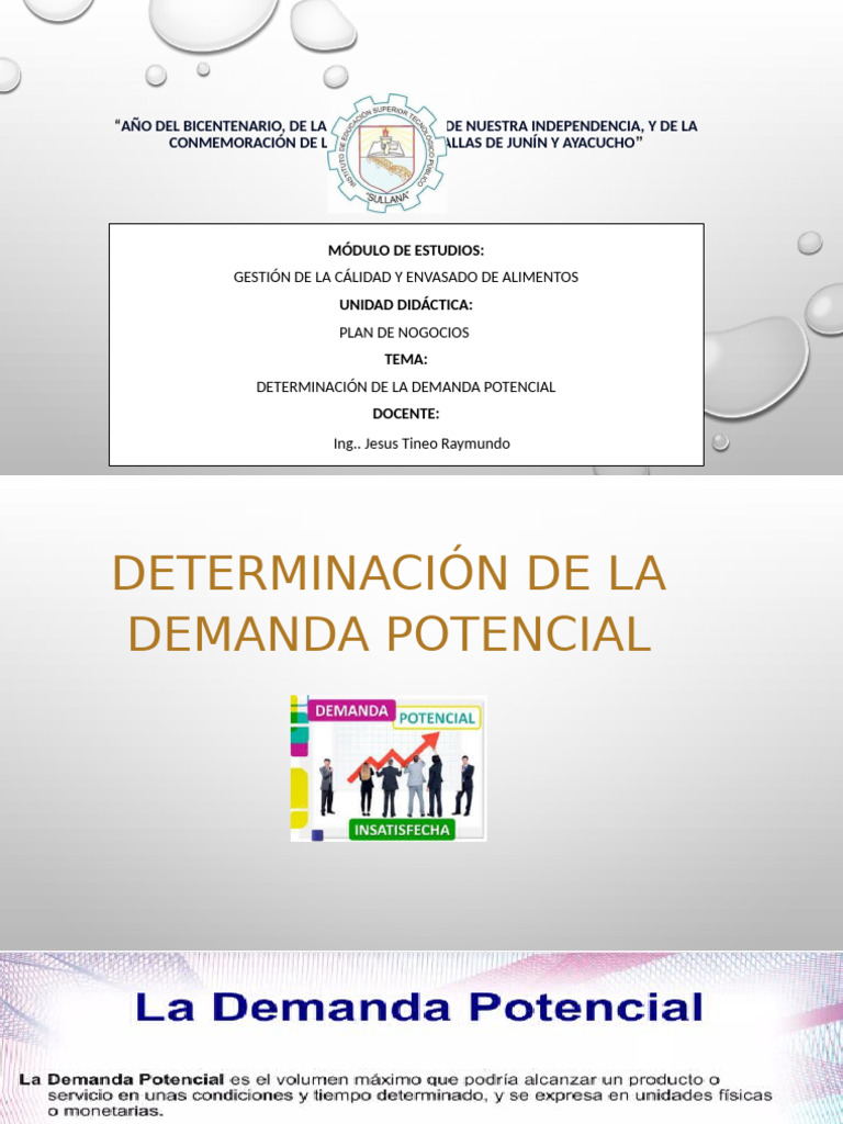 Demanda Potencial en Plan de Negocios | PDF | Ciencias sociales