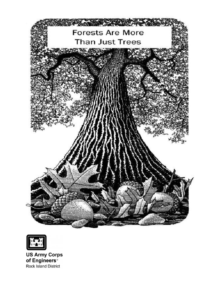 Forests Pdf Trees Forests