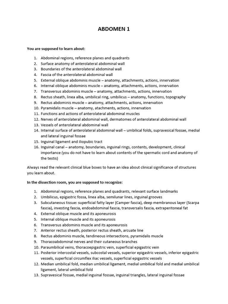 ABDOMEN 1 | PDF | Abdomen | Soft Tissue