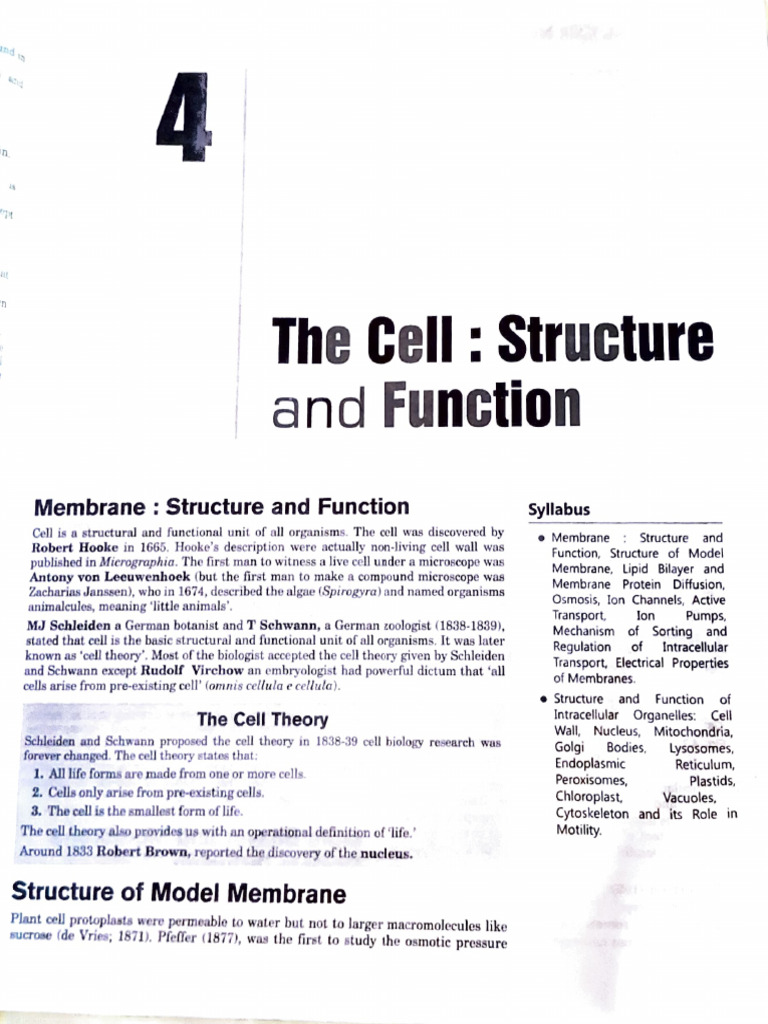 Cell Membrane Structure and Function | PDF | Cell Membrane | Lipid Bilayer