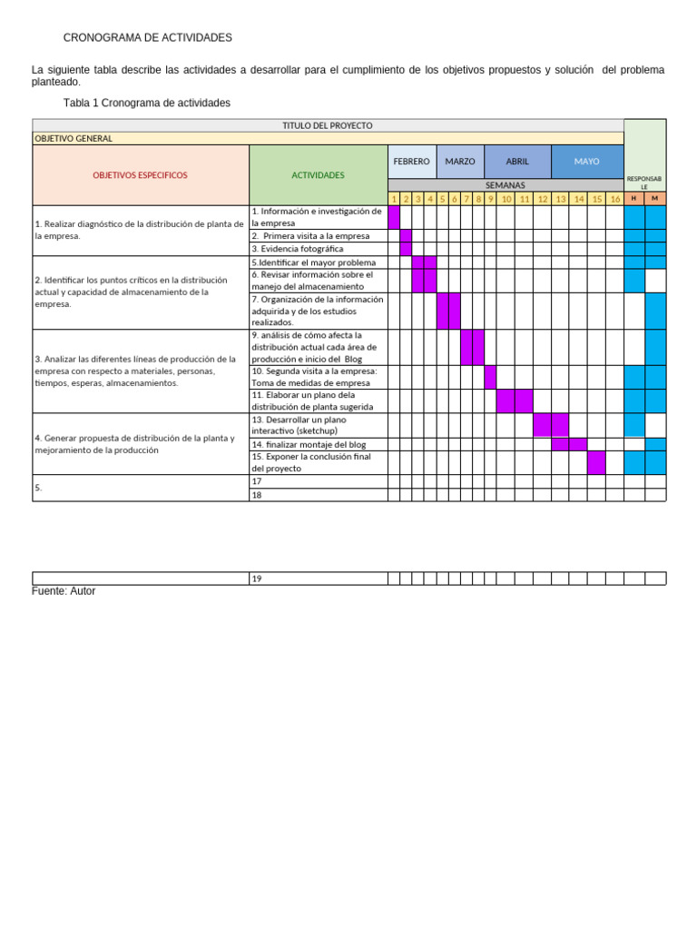 Cronograma de Actividades del Proyecto | PDF | Business