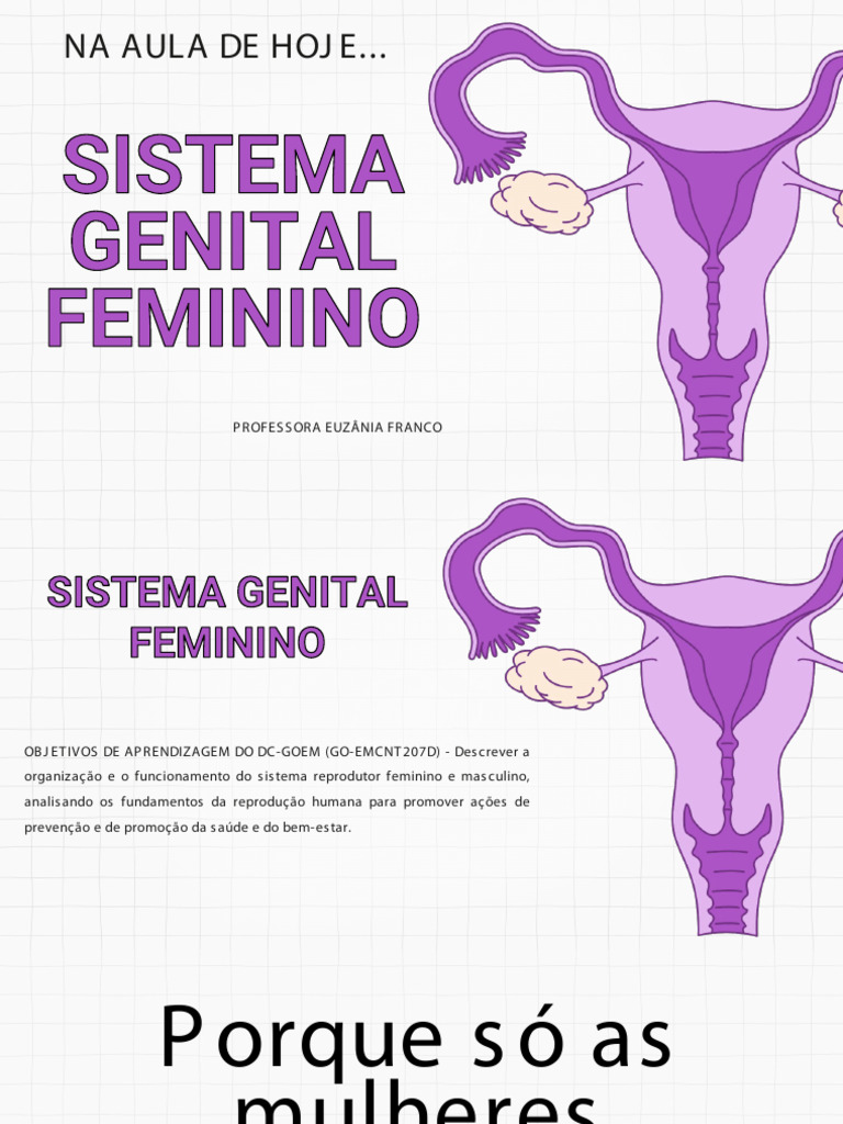 Sistema Genital Feminino - PowerPoint | PDF | Vagina | Menstruação, image size:768x1024