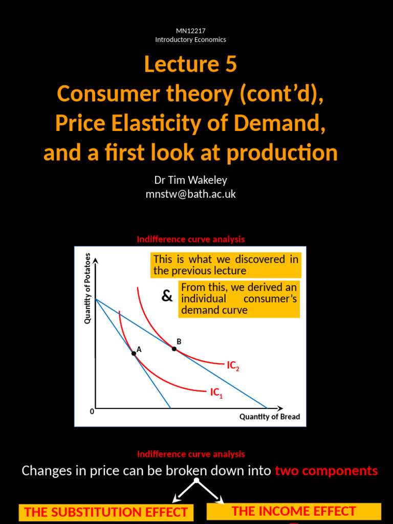 MN12217 - Lecture 5 Slide Deck | PDF | Demand | Price Elasticity Of Demand