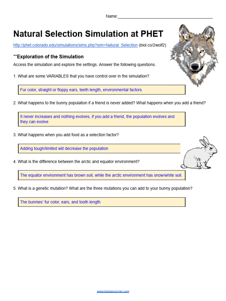 PHET Natural Selection Bunny Lab Guide | PDF | Natural Selection ...