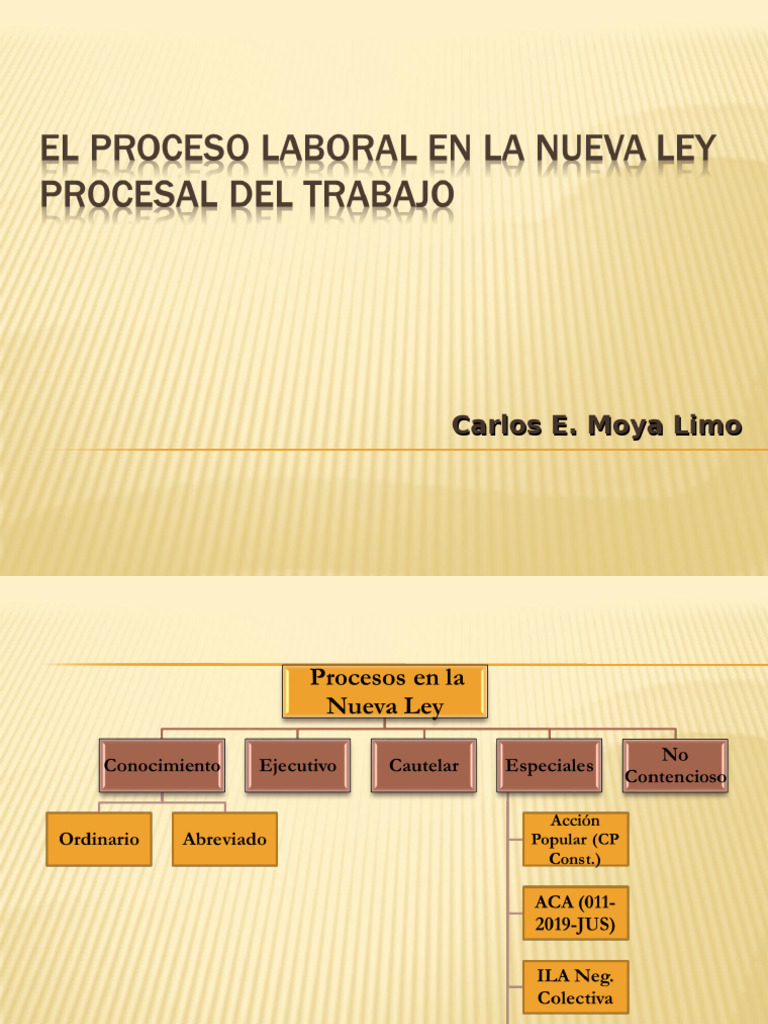 El Proceso Laboral en La Nueva Ley Procesal Del Trabajo | PDF | Demanda ...