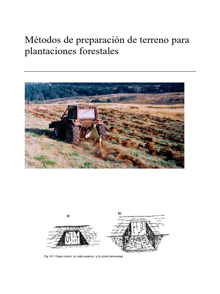 Métodos de Preparación Forestal | PDF | Longitud | Suelo
