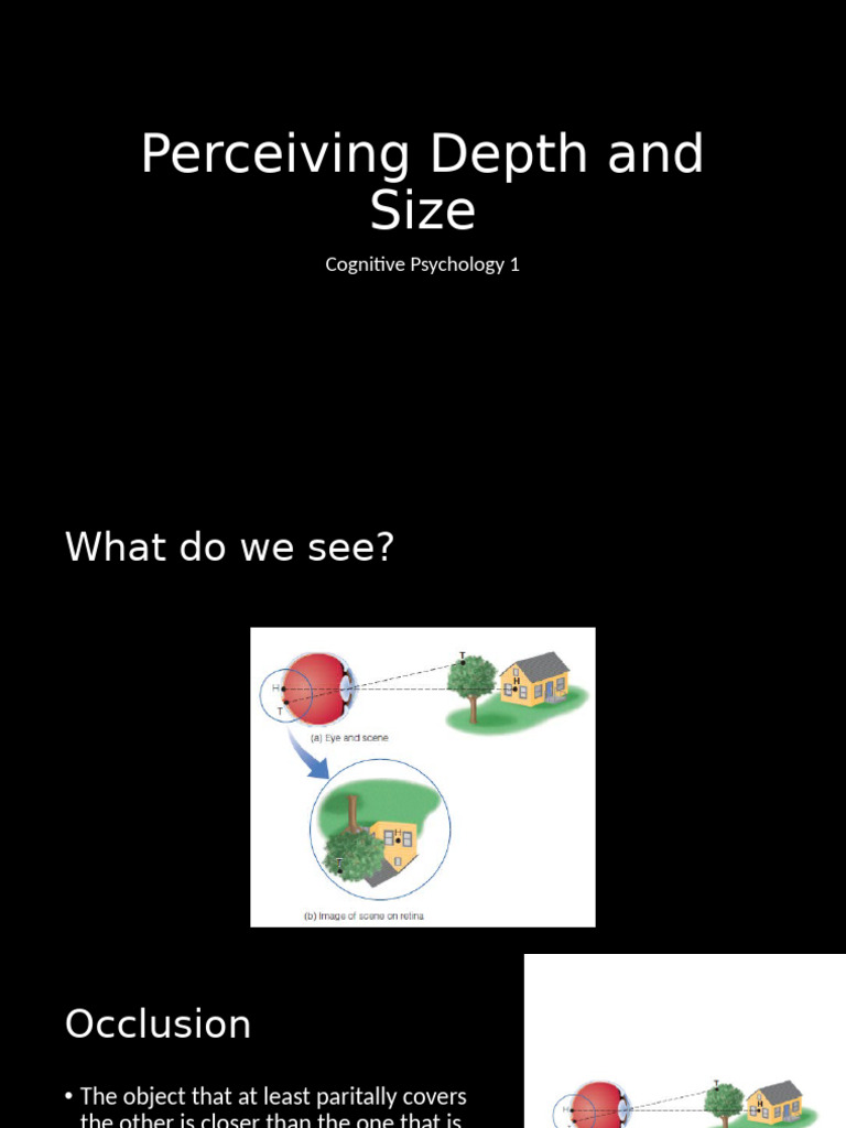 1.CogPsy1 DepthSize | PDF