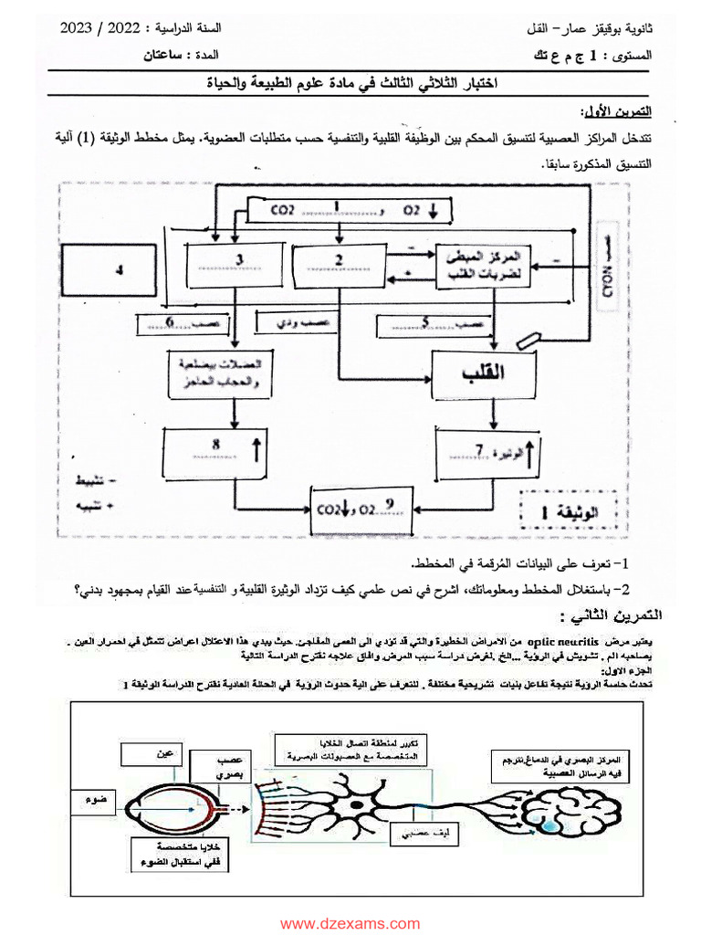 1AS Scientific Exam Resources | PDF