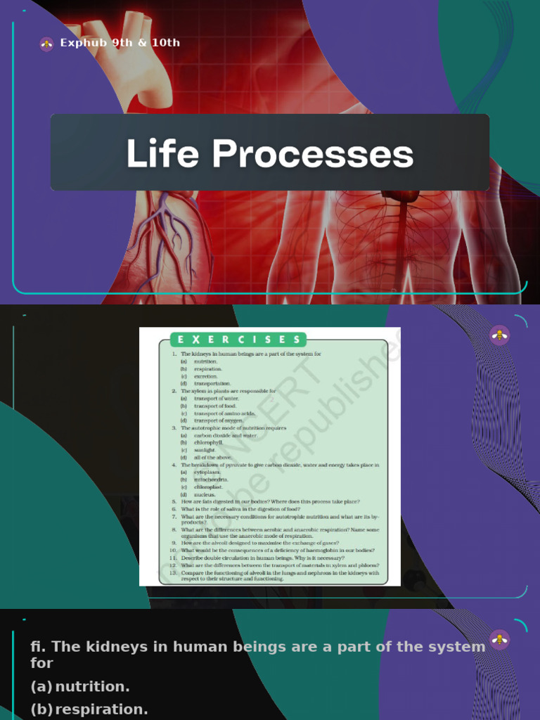 Life Processes - NCERT Exercises ( Prashant Kirad ) | PDF | Cellular ...