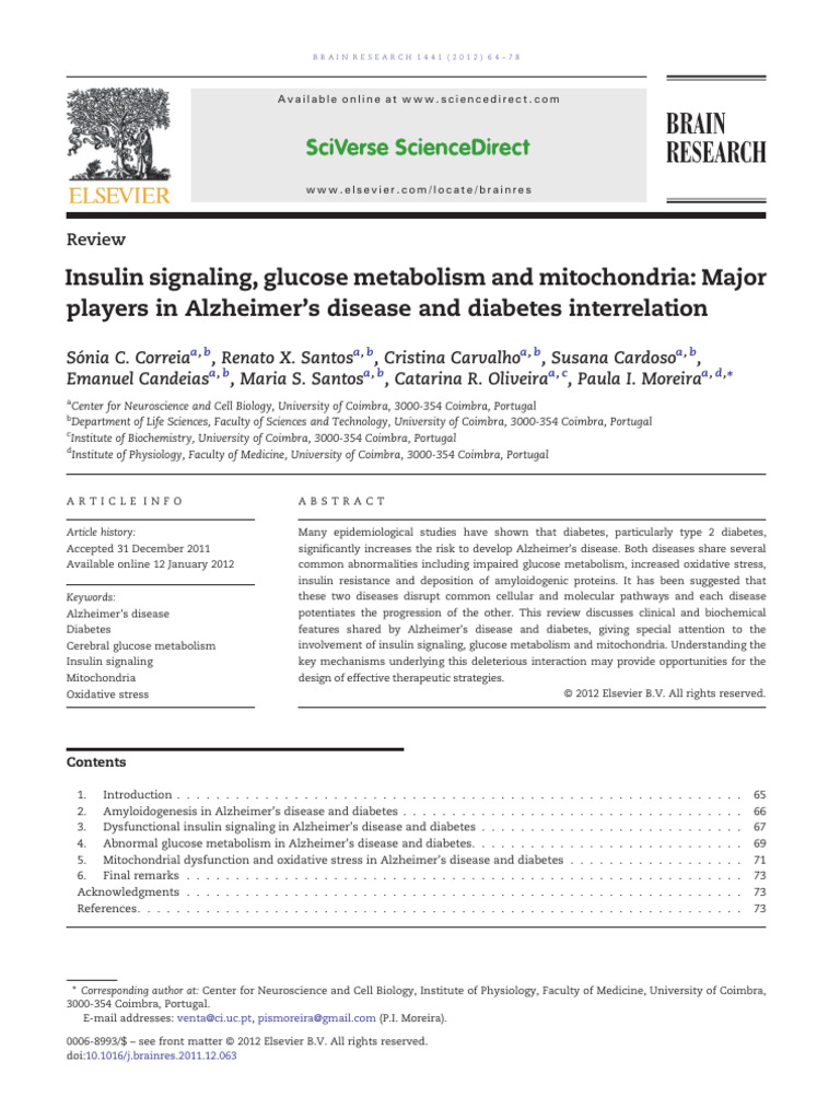 Insulin Signaling Glucose Metabolism and | PDF | Amyloid Beta ...