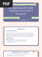 Impulso Nervioso y Sinapsis Explicados | PDF | Potencial de acción ...