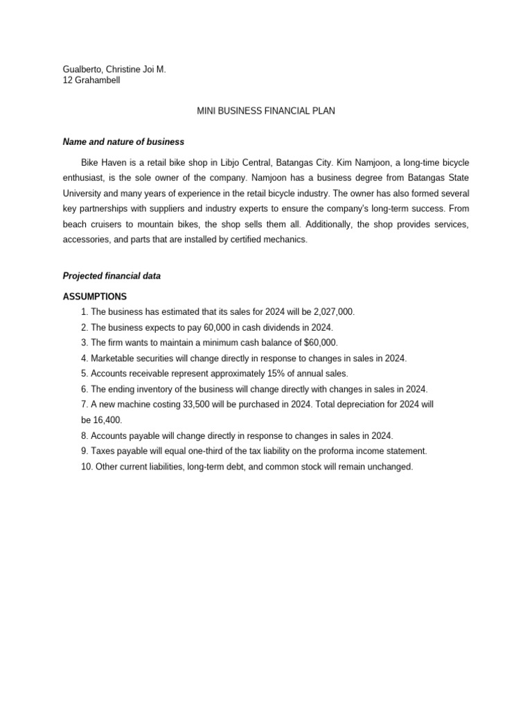 Mini Business Financial Plan | PDF | Retained Earnings | Equity (Finance)