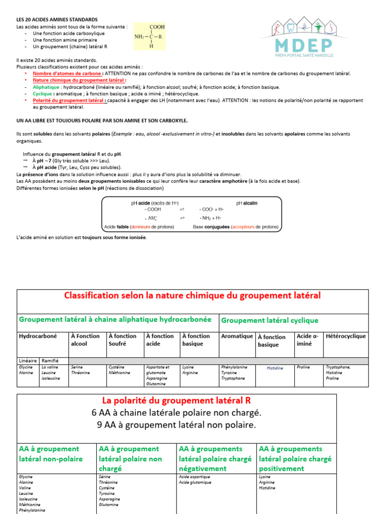 Classification des acides aminés standards | PDF | Acide aminé | Acide