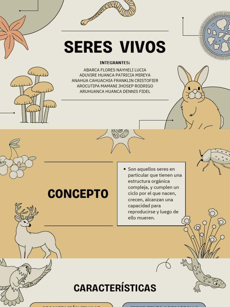 Biological Classification Education Presentation in Simple Outlined ...